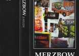 Merzbow E-Study album review